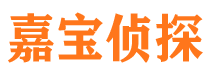 宛城市侦探